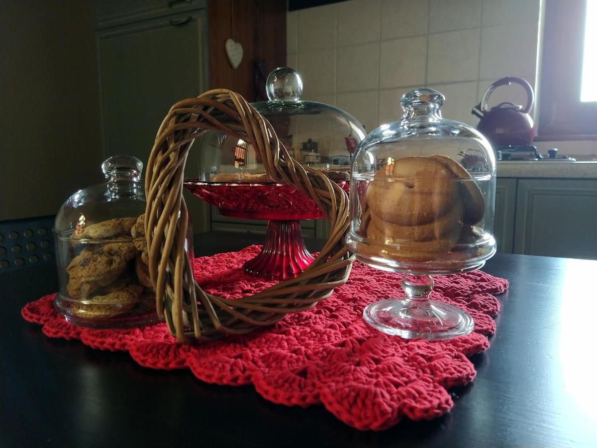 Cascina Roella Konuk evi Monforte dʼAlba Dış mekan fotoğraf