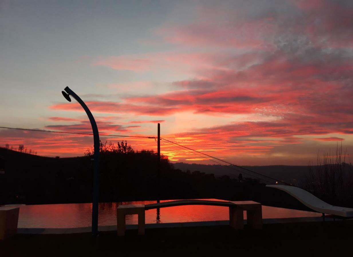Cascina Roella Konuk evi Monforte dʼAlba Dış mekan fotoğraf